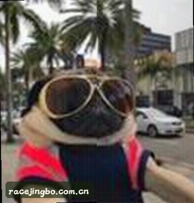 刘洋